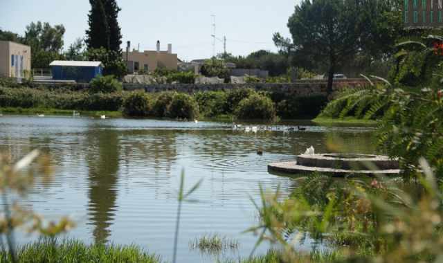 Conversano, gli irrisolti e terribili delitti della masseria e del laghetto